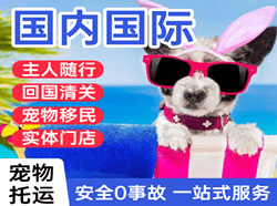 佳木斯航空快运国际宠物托运 【国